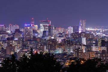 Obraz premium 札幌市 旭山記念公園からの美しい夜景