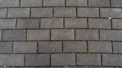 brick footpath driveway 