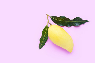 Top view of yellow mango on pink background.