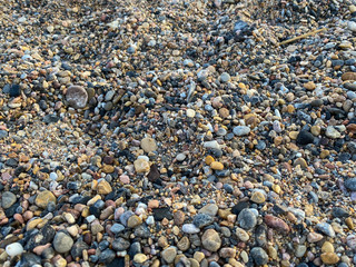 pebbles texture on the beach