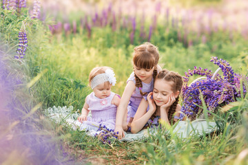 Three sisters in nature. Children in the meadow with flowers