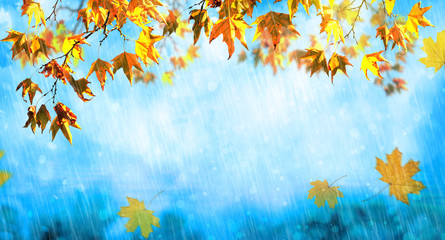 Obraz na płótnie Canvas an orange fall leaves and rain, autumn natural background