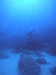 Fototapeta na wymiar scuba divers