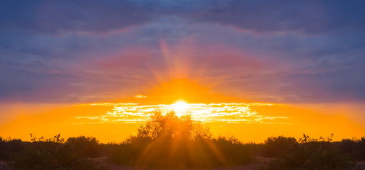 dramatic red sunset over a forest silhouette, evening sky background