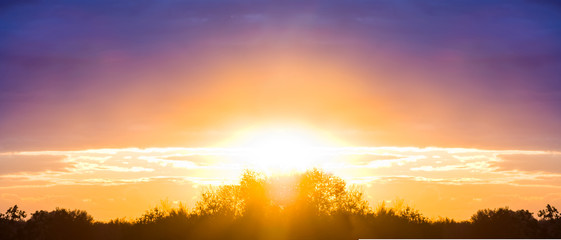 dramatic red sunset over a forest silhouette, evening sky background