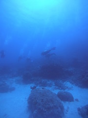 Fototapeta na wymiar scuba divers