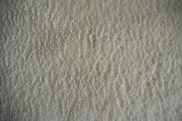 white fur texture