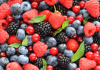 Berries summer assortment of raspberries, strawberries, blueberries, blackkberries, green mint leaves food background