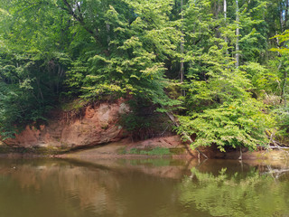 Wild nature and beautiful resting place. Magical natural landscape. forest with a channel.