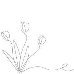Flowers on white background, vector illustration