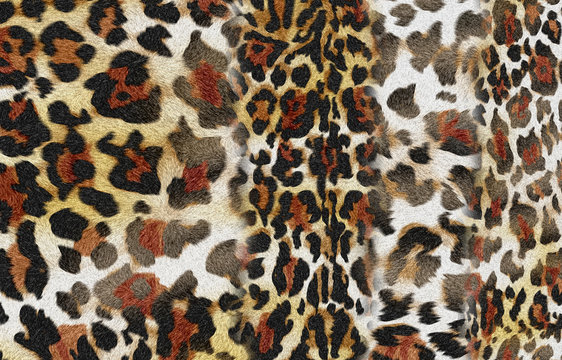 Leopard seamless pattern. Animal print.abstract, background, design, decoration for backdrop, drawing, graphic, elegance, illustration, zebra, leopard, giraffe, material, pattern, seamless