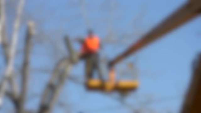 Blurred background. Workers cut tree branches On the crane. Spring