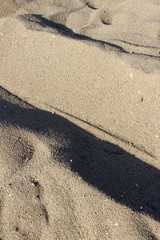 Fototapeta na wymiar sea ​​sand abstract texture background