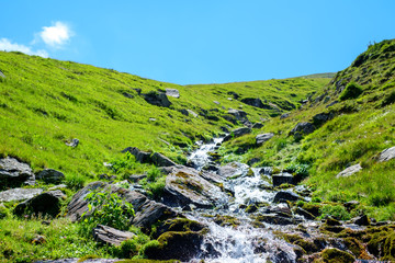 a mountain river flowing on Top of Mount Suru in Carpathian Mountains, Transylvania, Romania