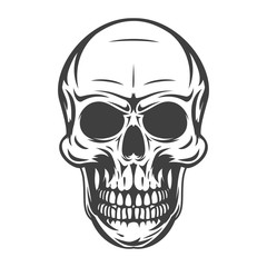 Vintage monochrome human skull isolated on white background. Hand drawn design element template for emblem, print, cover, poster. Vector illustration.