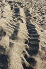tire tracks on the sand