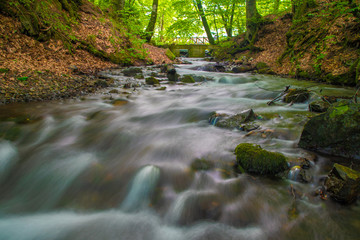 waterfall in the forest