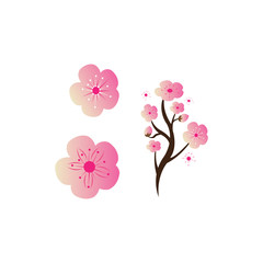 Sakura Beauty flower Vector icon illustration design