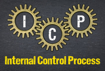 ICP Internal Control Process