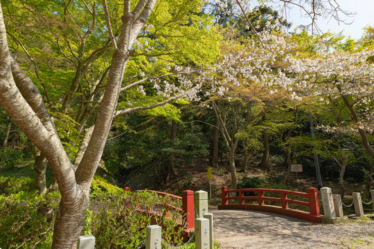 759 Best 田原市 Images Stock Photos Vectors Adobe Stock 759 Best 田原市 Images Stock Photos Vectors Adobe Stock