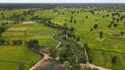 landscape of the river