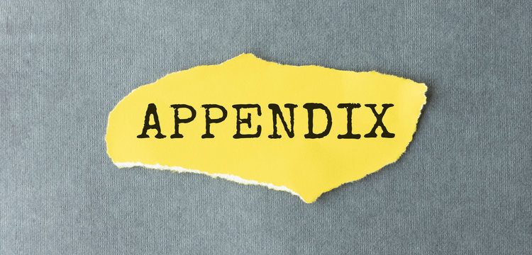 Word Appendix Written On A Yellow Piece Of Paper.