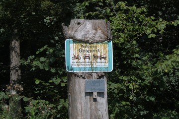 Schild ist in Baum eingewachsen