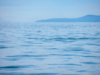 Humpback whale in the Pacific Ocean near Vancouver on a beautiful summer day. 