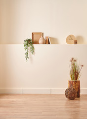 Decorative wall, wooden objects vase of plant and book style, home decoration interior.