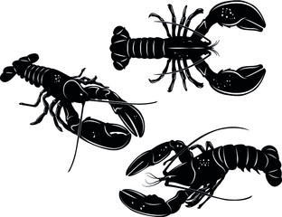 Lobster Vector Illustration Set
