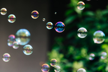 Soap bubbles in the air with nature in the background