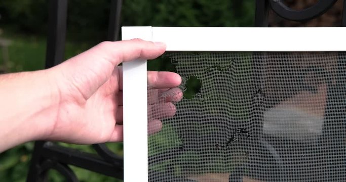 A man demonstrates with his hand the presence of holes in a torn masking net for plastic windows, against the backdrop of a garden.