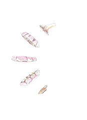 Sliced garlic. Watercolor hand drawn illustration, isolated on white background	