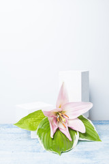 Mockup of two geometric forms for the podium using the colors of lilies and green leaves. Vertical orientation.