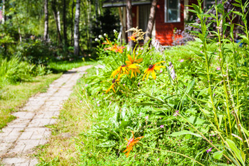 flower bed and path to cottage in green ornamental garden in Russia on sunny summer day