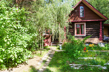 front view of rural yard and russian wooden log house on sunny summer day