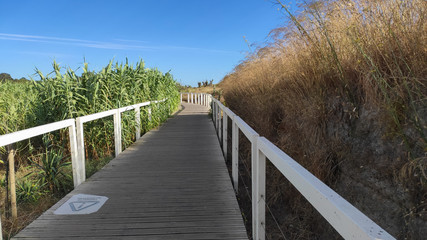 Fototapeta na wymiar Ecovia Litoral Norte (North Coast Ecoway), walking path in Esposende, Portugal.