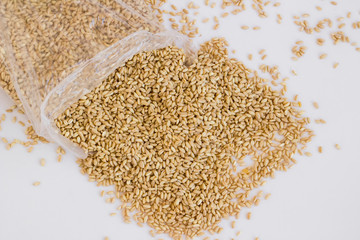 Natural,ripe and raw wheat on white surface with a plastic bag,top view