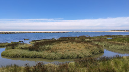 The mouth of the Cavado River (Northern Litoral Natural Park) in Esposende, Portugal. The large estuary of the Cávado river.