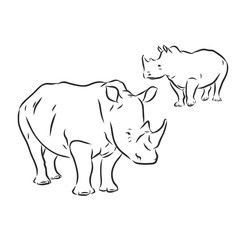 African rhinoceros Wild animal sketch, ink. Vector illustration for label. safari symbol.