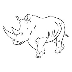 African rhinoceros Wild animal sketch, ink. Vector illustration for label. safari symbol.