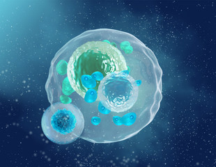 Medical abstract background, microscopic cells in the process of division float in plasma, embryo, microbe, bacteria, 3D rendering