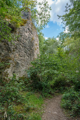 Path along a rock wall of the Stenzelberg.