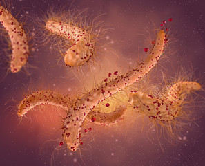 Dangerous pathogenic bacteria Escherichia coli, colibacillus, pathogen of stomach infection, medical abstract background, concept, 3D rendering