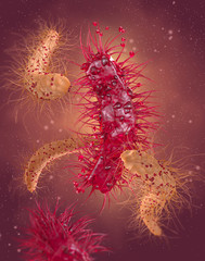 Dangerous pathogenic bacteria Escherichia coli, colibacillus, pathogen of stomach infection, medical abstract background, concept, 3D rendering