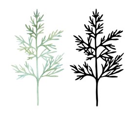 Set of elements for design and scrapbooking. Watercolor botanical illustration of a green twig and its black silhouette on a white background.