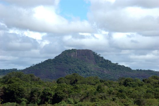 Orinoco Bilder Durchsuchen 1,438 Archivfotos, und