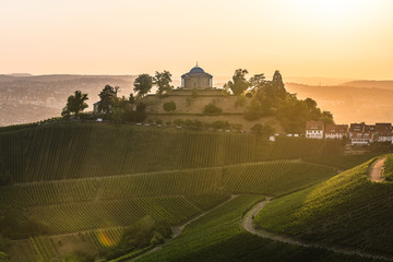 Atmospheric view of beautiful vineyards hills and the 