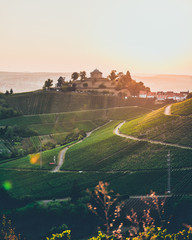 Atmospheric view of beautiful vineyards hills and the "Grabkapelle auf dem Württemberg" in Stuttgart, Germany. Golden summer sunset.