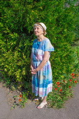 Portrait of a smiling elderly woman. A photo on the nature background